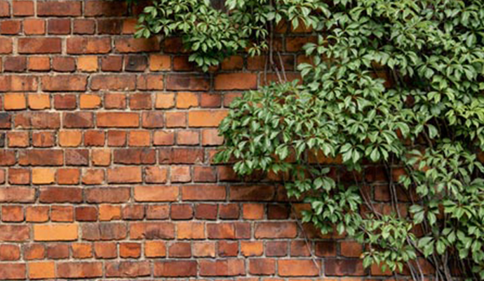 Exterior brick walls