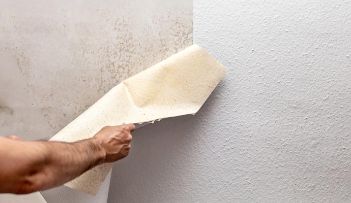 Expert carefully removing wallpaper from a wall, preparing the surface for repainting or refinishing